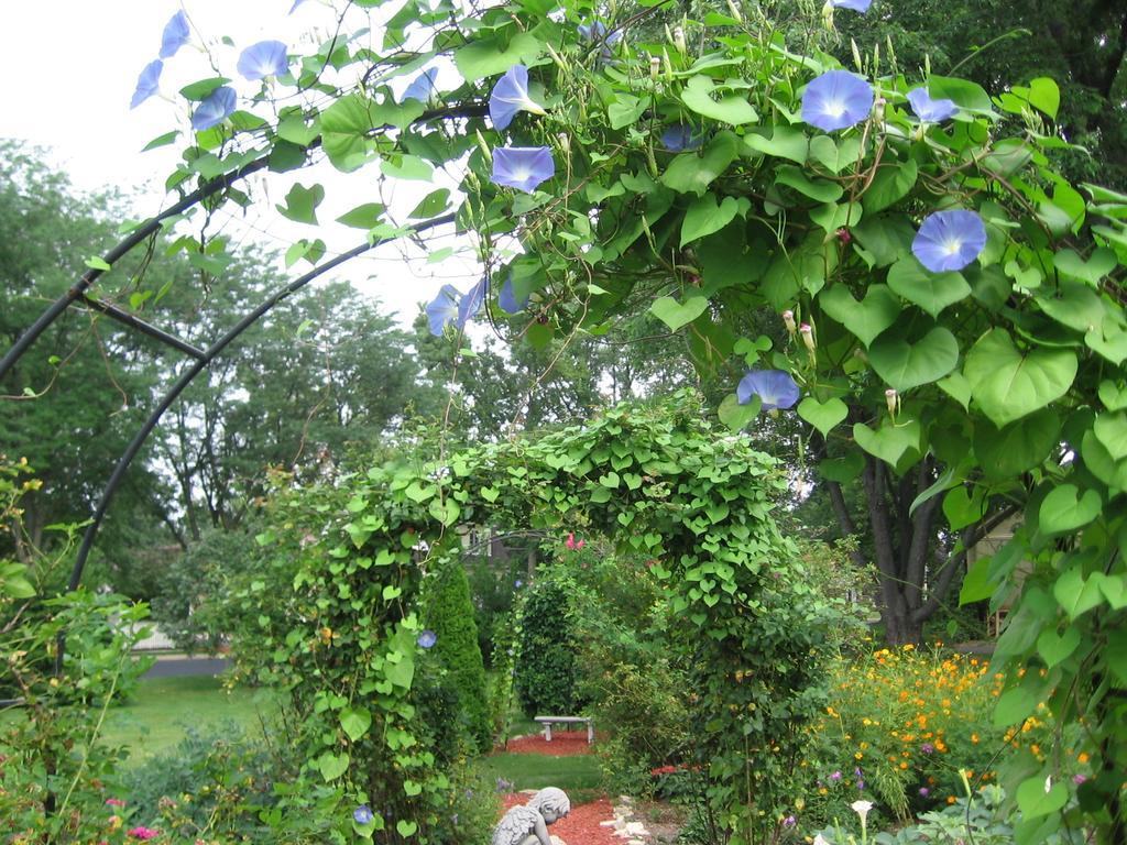 Covington Manor B&B Cambridge 外观 照片